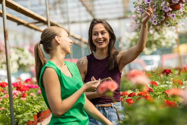 İki kadın bir serada çiçek ve bitkiler hakkında konuşuyor..