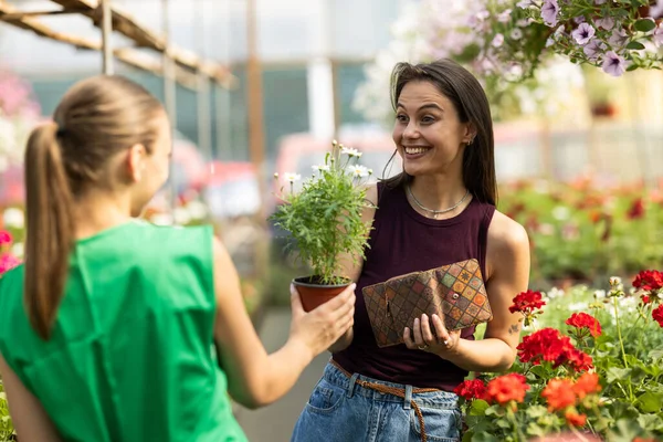 Mutlu ve gülümseyen müşteri seradan çiçek alıyor..