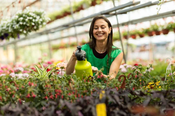 Neşeli kadın çiçekçisindeki sallanan bitkilerin üzerine su sıkıyor..