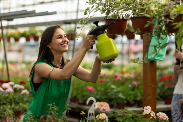 Neşeli kadın çiçekçisindeki sallanan bitkilerin üzerine su sıkıyor..
