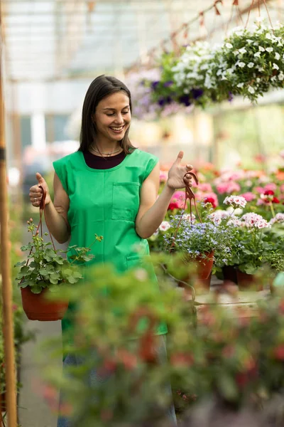 Mutlu ve neşeli genç bir kadın yeşil önlük giyiyor ve saksıda asılı bitkilere hayran..