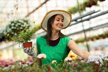 Yeşil önlük takan ve saksı bitkilerine hayran olan mutlu ve neşeli genç bir kadın..