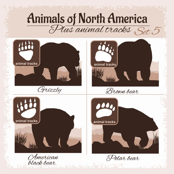 North America animals and animal tracks, footprints. Royalty Free Stock Illustrations