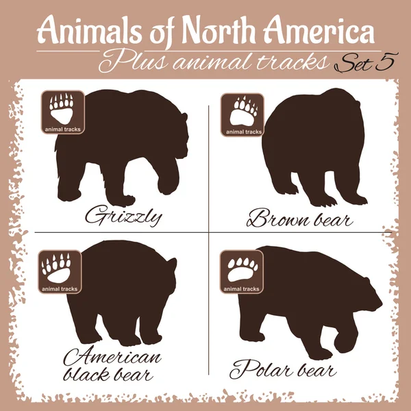 North America animals and animal tracks, footprints. Stock Vector