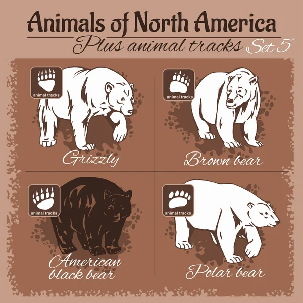 North America animals and animal tracks, footprints. Royalty Free Stock Illustrations