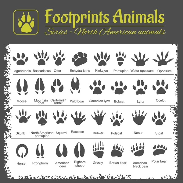 Animal Tracks - North American animals Stock Illustration