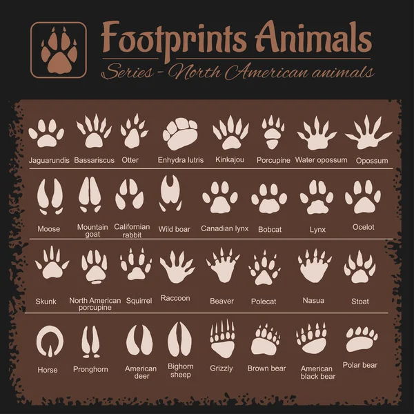 Animal Tracks - North American animals Royalty Free Stock Illustrations