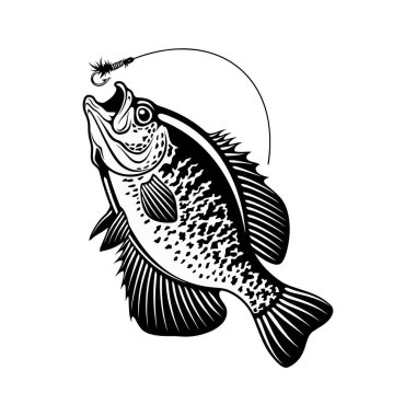 Download Black Crappie Free Vector Eps Cdr Ai Svg Vector Illustration Graphic Art