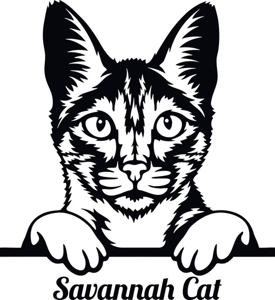 Savannah Cat - Katzenrasse. Katzenrassenkopf isoliert auf weißem Hintergrund — Stockvektor