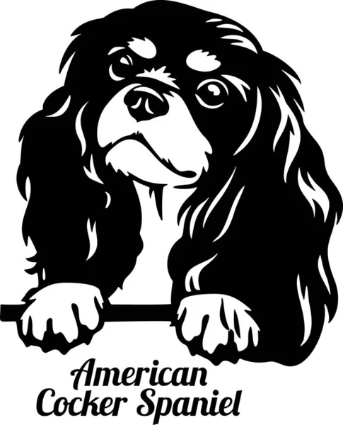 Amerikaanse Cocker Spaniel Peeking Dog - hoofd geïsoleerd op wit — Stockvector