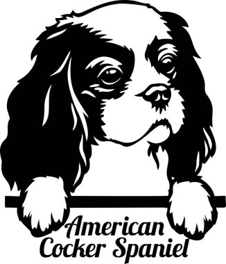 Amerikan Cocker Spaniel Röntgenci Köpek kafası beyazların üzerinde izole edilmiş.