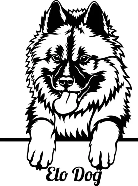 Elo Dog Peeking Dog -白で隔離された頭 — ストックベクタ