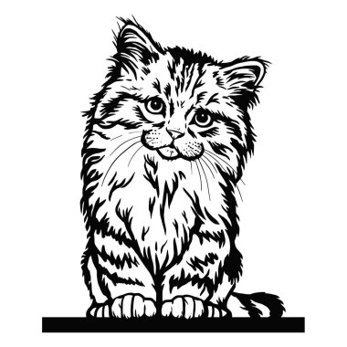 Cat, Peeking kitten - Cheerful kitty isolated on white - vector stock clipart