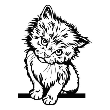 Cat, dikizci kedi - neşeli kedi - beyaz üzerine izole edilmiş - vektör stok