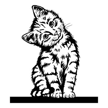 Cat, dikizci kedi - neşeli kedi - beyaz üzerine izole edilmiş - vektör stok