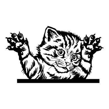 Cat, dikizci kedi - neşeli kedi - beyaz üzerine izole edilmiş - vektör stok
