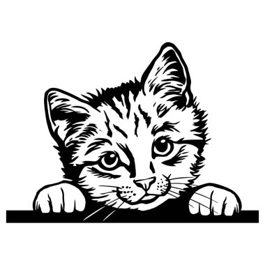 Cat, dikizci kedi - neşeli kedi - beyaz üzerine izole edilmiş - vektör stok