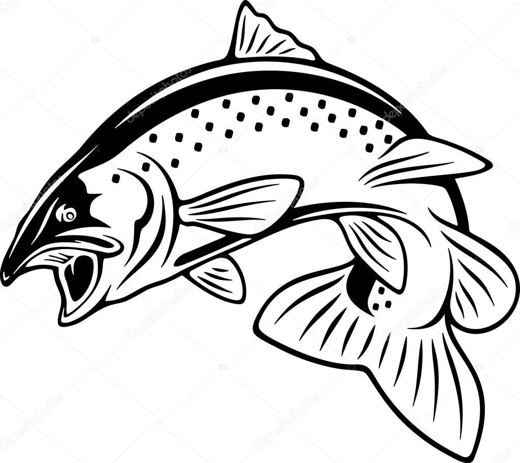 Salmon fish - Fishing logo. Template club emblem. Fishing theme vector illustration.