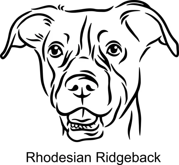 Rhodesian Ridgeback Portré Dog in Line style - Kisállat portré Light Style fej elszigetelt fehér — Stock Vector