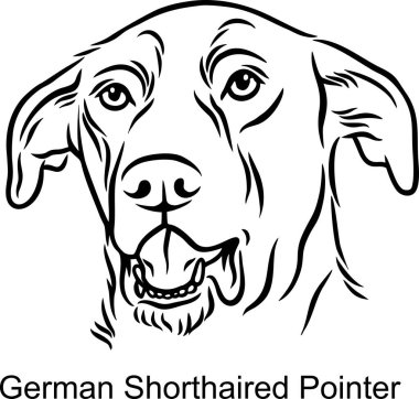 Alman Shorthaired Pointer Portrait Dog in Line style - Aydınlık Tarzlı Evcil Hayvan Portresi
