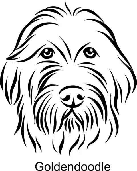 Satır Stili Altın Çizgili Köpek - Aydınlık Tarzlı Hayvan Portresi Beyaz üzerinde izole edilmiş kafa