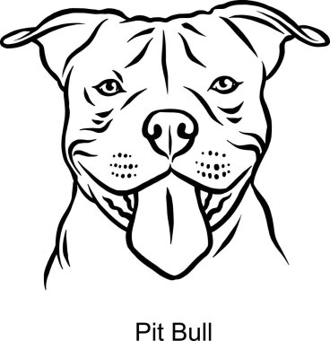 Satır Stili Pit Bull Portre Köpeği - Aydınlık Tarzlı Evcil Hayvan Portresi