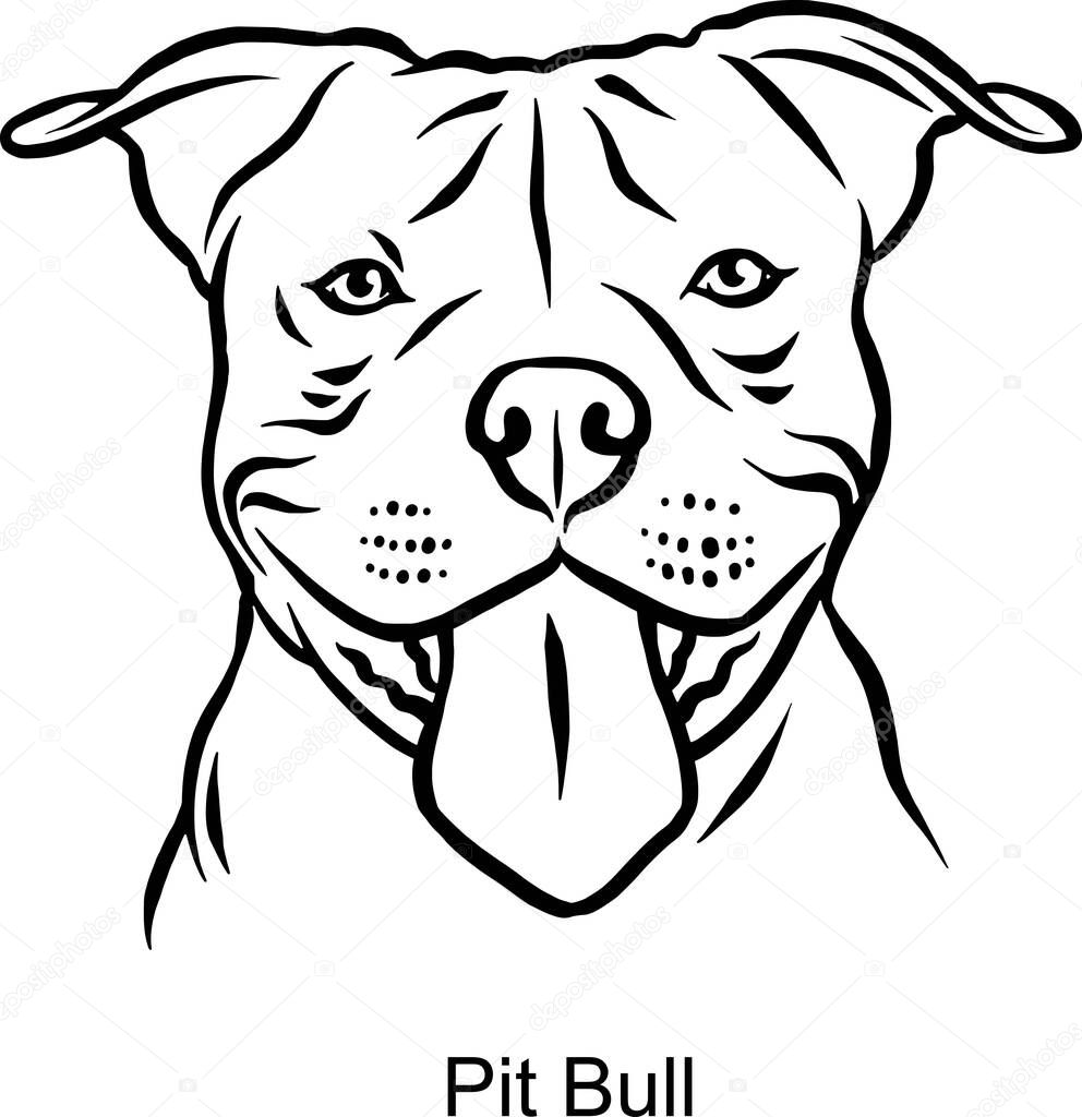 Pit Bull Portrait Dog in Line style - Pet Portrait in Light Style head isolated on white