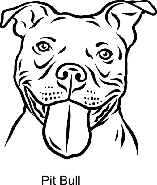 Pit Bull Portrait Dog in Line style - Pet Portrait in Light Style tête isolée sur blanc — Image vectorielle