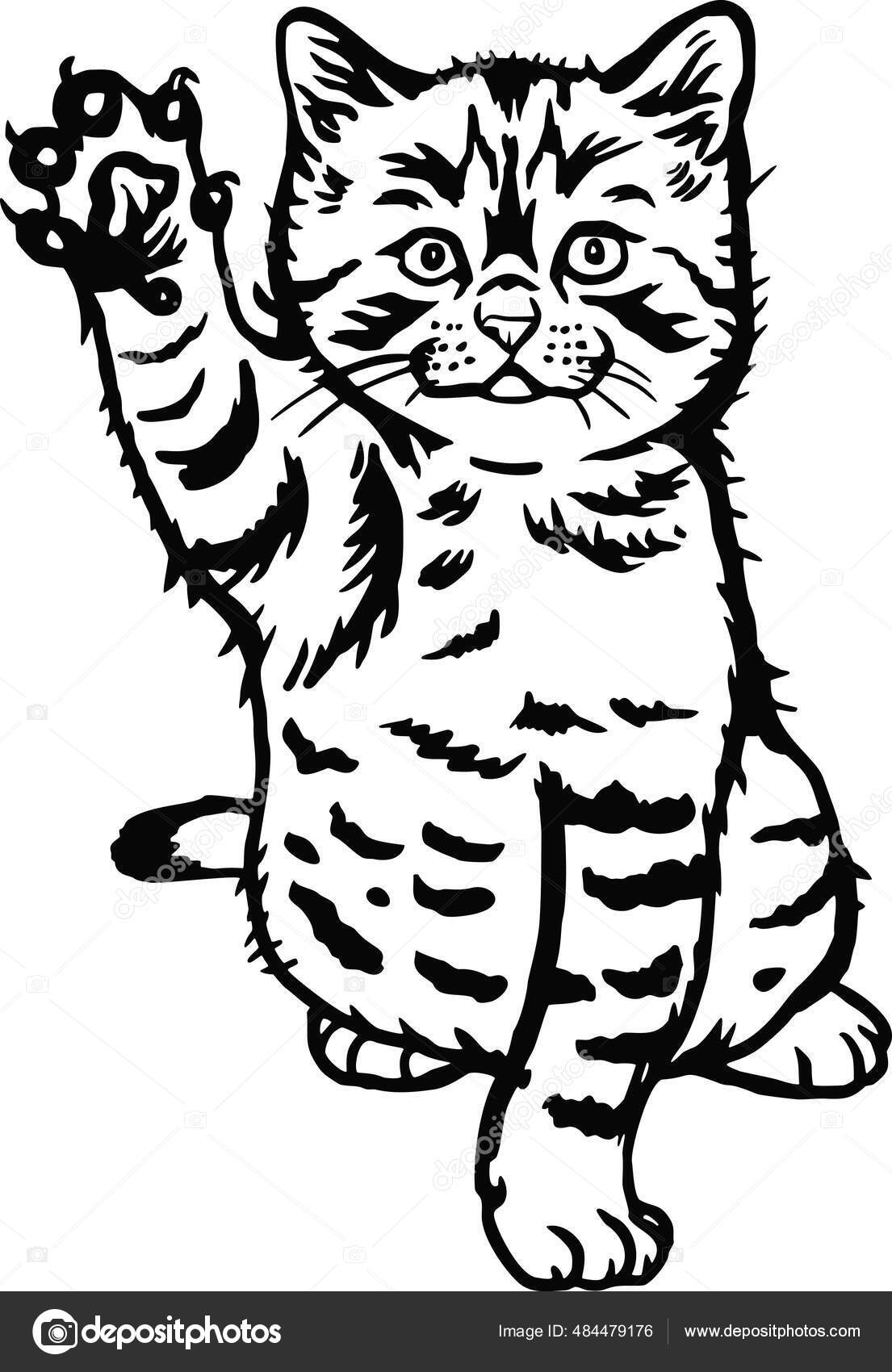 かわいい子猫 おかしい猫は白 かわいいキティ ペットの恋人 ペットのシルエット ふわふわの子猫に隔離されます ペットの遊び ストックベクター C Digital Clipart