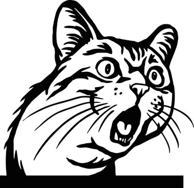 Şirin Kedi - Beyaz kedicik, şirin kedicik, evcil hayvan sever, siluet, tüylü kedi yavruları. Evcil hayvan oyunu.