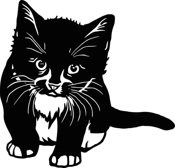 Gatito lindo - Gato divertido aislado en blanco, lindo gatito, amante de las mascotas, silueta de mascotas, gatitos esponjosos. Jugar a las mascotas. — Archivo Imágenes Vectoriales
