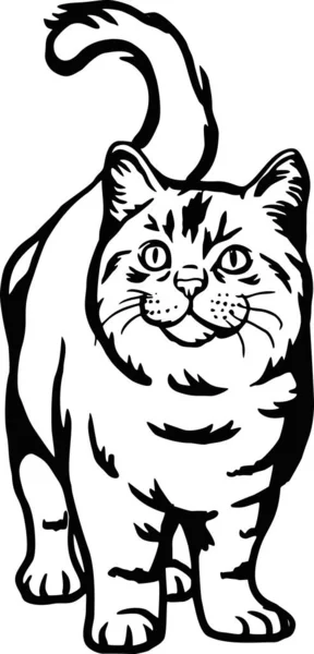 Gatito lindo - Gato divertido aislado en blanco, lindo gatito, amante de las mascotas, silueta de mascotas, gatitos esponjosos. Jugar a las mascotas. — Vector de stock