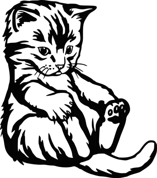 Cute Kitten - Funny Cat izolowane na białym, Cute Kitty, Miłośnik zwierząt domowych, Pet sylwetka, Puszyste kociaki. Granie zwierząt domowych. — Wektor stockowy