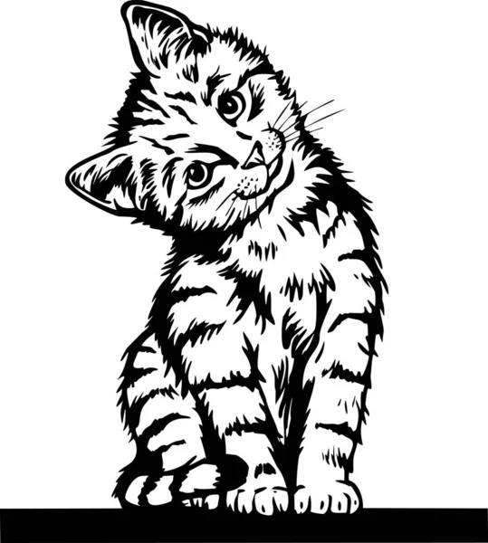 Cute Kitten - Смешной кот изолирован на белом, Cute Kitty, Pets любовник, Pet силуэт, пушистые котята. Игра с домашними животными. — стоковый вектор