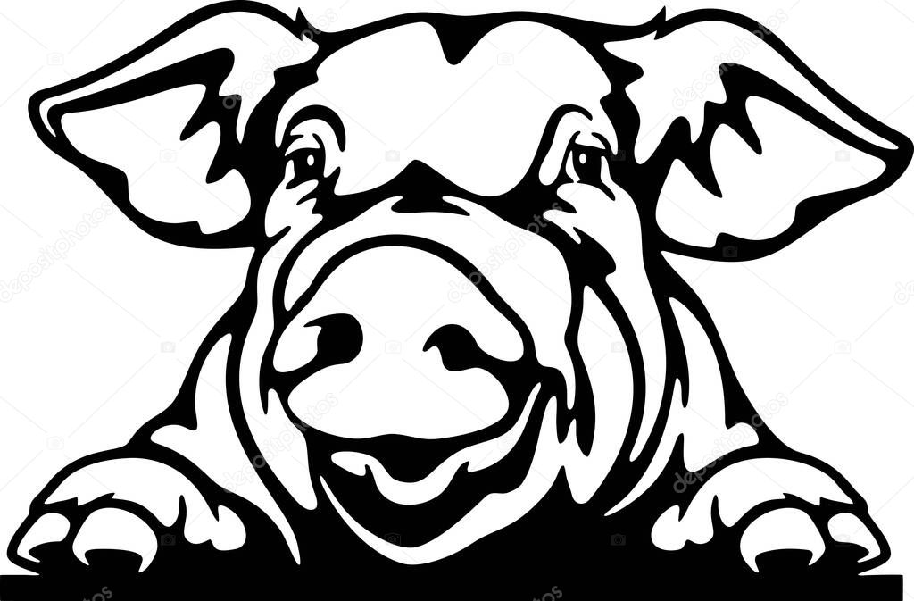 Peeking Pig - Funny Farm Animals peeking out - face head isolated on white vector stock