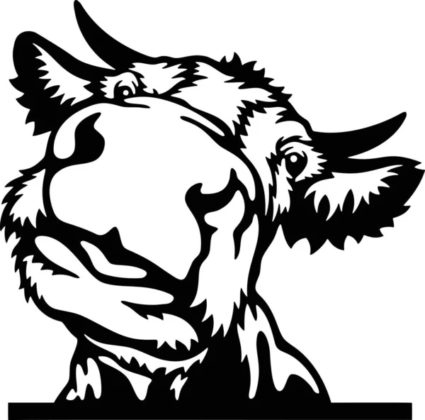 Nakukující kráva - Funny Farm Zvířata vykukující ven - tvář hlavy izolované na bílém — Stockový vektor