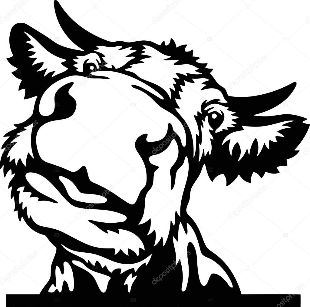 Peeking Cow - Funny Farm Animals peeking out - face head isolated on white vector stock