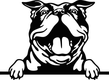 Dikizci bulldog - Komik Çiftlik Hayvanları dikizliyorlar - beyaz kafayla izole edilmiş bir yüz