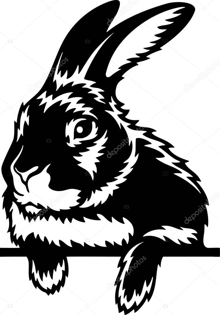 Peeking rabbit - Funny Farm Animals peeking out - face head isolated on white vector stock