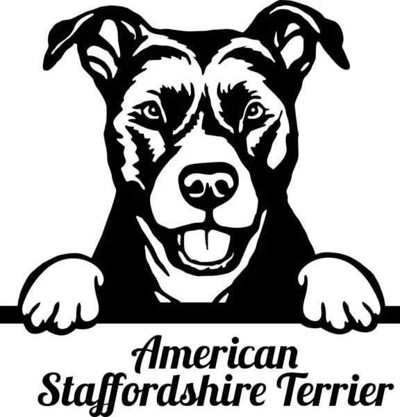 American Staffordshire Terrier Peeking Dog - cap izolat pe alb — Vector de stoc