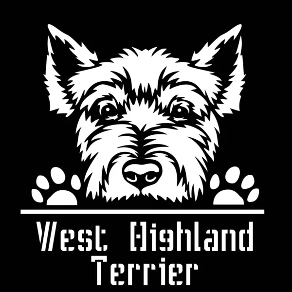 West Highland Terrier Peeking Dog - голова изолирована на белом — стоковый вектор