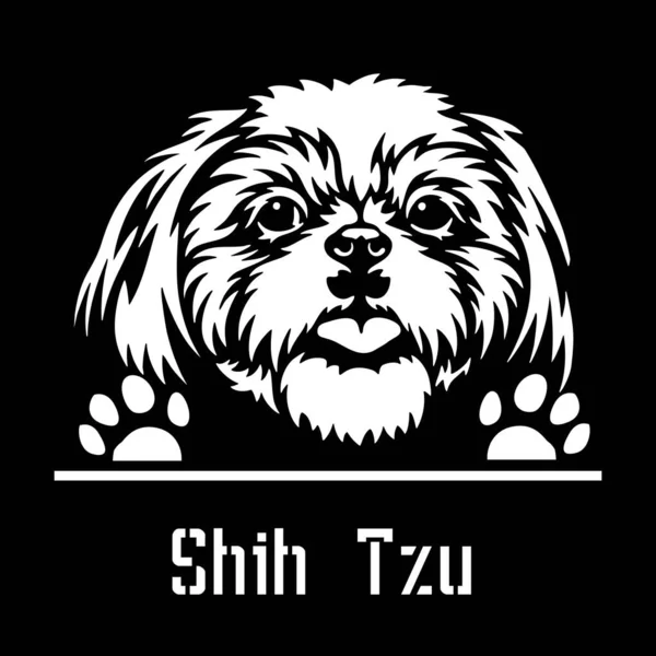 Shih Tzu Peeking Dog หัวแยกบนสีขาว — ภาพเวกเตอร์สต็อก