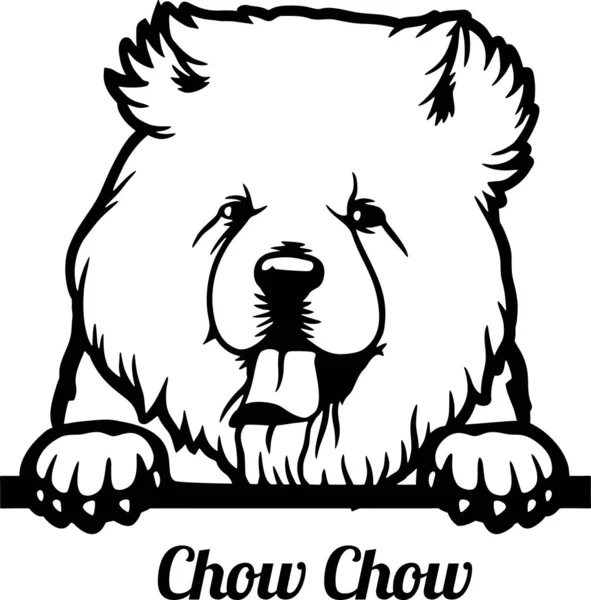 Chow Chow Peeking Dog - Kopf isoliert auf weiß — Stockvektor