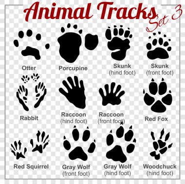 Download Forest Tracks Free Vector Eps Cdr Ai Svg Vector Illustration Graphic Art