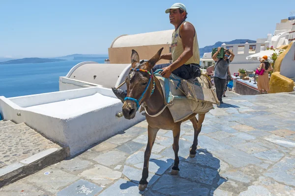 eşek ulaşım oia, santorini, Yunanistan