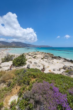 pembe kum plaj elafonissi