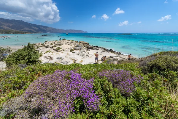 Plaja de nisip roz din Elafonissi — Fotografie, imagine de stoc