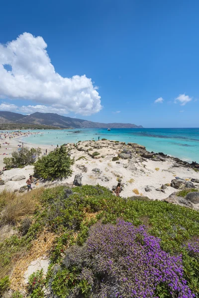 Praia de areia rosa de Elafonissi — Fotografia de Stock