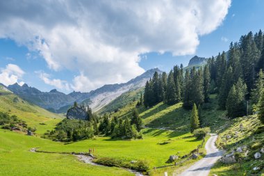 İsviçre Alpleri'nde yaz aylarında güzel dağ manzarası