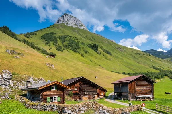 Beau paysage de montagne en été dans les Alpes, Suisse — Photo